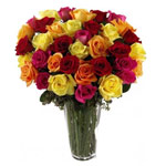 Deliver your love to your dear ones by sending the......  to coquimbo_florists.asp