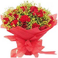 6 red roses, 12 red carnations, matched with green......  to qinghai_florists.asp