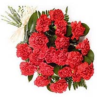 20 red carnations, with greens, and peach pink pac......  to flowers_delivery_ezhou_china.asp