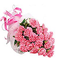 12 pink carnations, with greens, pink package, bea......  to yuncheng_china.asp