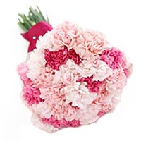 22 pink carnations and greens. single side package......  to Duyun_china.asp