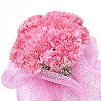 50 pink carnations and greens, pink gauze to wrap,......  to flowers_delivery_dantu_china.asp