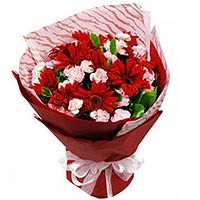 18 pink carnations, 10 red gerberas, red creper pa......  to lianjiang