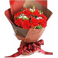 11 red carnations,matched greens. brown package.  ......  to flowers_delivery_longyan_china.asp