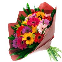 12 branches colorful gerberas. match green leaves,......  to xianning_florists.asp