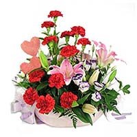 Add spark to your life as well as those who matter......  to liaocheng_florists.asp
