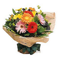 12 branches colorful gerberas. match green leaves,......  to Nanning_china.asp