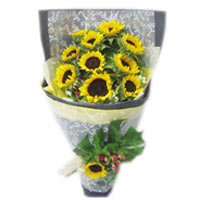 10 sunflowers, match flowers and greenery. Special......  to flowers_delivery_putian_china.asp