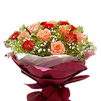 9 pink roses, 12 red carnations, baby's breath, gr......  to baotou_florists.asp
