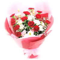 11 red carnations, 11 pink carnations, green stuff......  to Kunming_china.asp