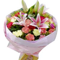 2 pink lilies, 30 colorful carnations, match green......  to Hengyang