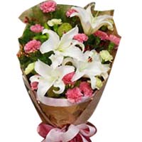 12 pink carnations, 5 white carnations(if white ca......  to Luoyang
