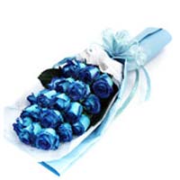 18 Chinese dying blue roses, white tissue pack ins......  to qinzhou