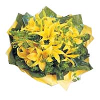 8 yellow perfume lilies, match greenery, green tis......  to zhangjiajie_florists.asp