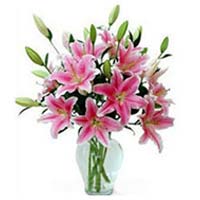 6 beautiful pink multi-bloomed lilies arranged in ......  to liaocheng_florists.asp