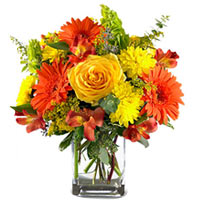 Delight your loved ones with this Glorious Bunch o......  to flowers_delivery_foshan_china.asp