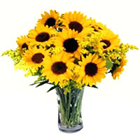 Drench your dear ones in your love by gifting them......  to shijiazhuang_florists.asp
