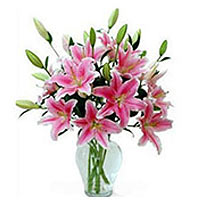 Enthrall the people close to your heart by sending......  to flowers_delivery_zhoushan_china.asp