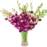 Earn appreciation for sending this Graceful Assemb......  to baotou_florists.asp