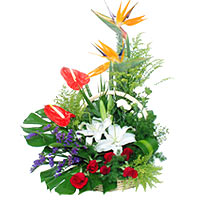 Mesmerize your dear ones with this Passionate Ever......  to xiantao_florists.asp