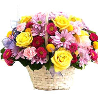 Shower the loved ones in your life with your love ......  to changzhou_florists.asp