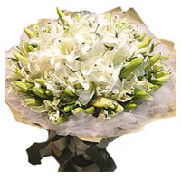 16 white lilies. Classic, unique. They will fill t......  to baoding_florists.asp