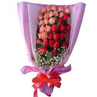 16 pink roses, 16 red roses, match baby's breath. ......  to yancheng_florists.asp