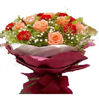 9 pink roses, 12 red carnations, baby's breath, gr......  to maanshan_florists.asp