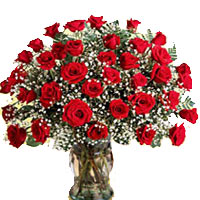 Console someone feeling low by sending him/her thi......  to flowers_delivery_taian_china.asp