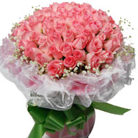 66 pink roses, matched with baby breath, white gau......  to Maanshan