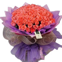 99 pink roses, purpel and pink package.Show your t......  to flowers_delivery_baoding_china.asp