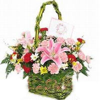 A unique gift for any special celebration, these A......  to tongan_florists.asp