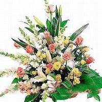 A perfect gift for any occasion, this Classic Mult......  to qinghai_florists.asp