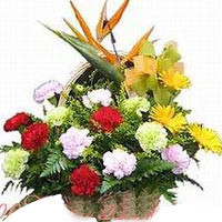 Celebrate in style with this Brilliant Best Wishes......  to qinghai_florists.asp