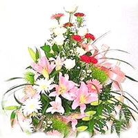 Order online for your loved ones this Brilliant Co......  to dongsheng_florists.asp