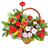 Let your loved ones blush in the colors with this ......  to beihai_florists.asp