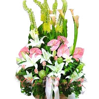 A fabulous gift for all occasions, this Sweet Coll......  to baoding_florists.asp