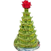 To bring someone best luck, this tower-shaped mult......  to flowers_delivery_shan(1)xi_china.asp