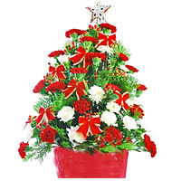 Red and white carnations, match greenery, arranged......  to flowers_delivery_baoding_china.asp