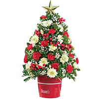Golden New Year Star on the top of the tree, 24 re......  to flowers_delivery_luzhou_china.asp
