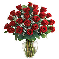 12 red roses, with babybreath and greens, vase arr......  to flowers_delivery_huhehot_china.asp