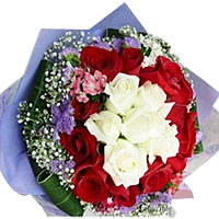 6 white roses and 12 red roses, with babybreath,fo......  to flowers_delivery_baoding_china.asp