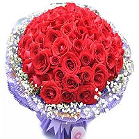66 red roses matched with babybreath, purple packa......  to flowers_delivery_baishan_china.asp