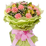 16 pink carnations, match baby's breath and greene......  to flowers_delivery_zhoushan_china.asp