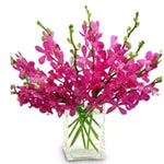 10 cattleyas, arrange in a glass vase, beautiful a......  to flowers_delivery_haining_china.asp