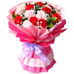  12 pink carnations and 12 red carnations, with ba......  to Chengde_china.asp