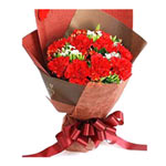 11 red carnations,matched greens. brown package.......  to flowers_delivery_yiyang_china.asp