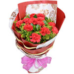  19 red carnations, with greens and babybreath and......  to langfang_florists.asp