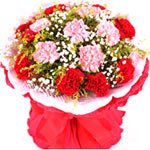 8 red carnations and 8 pink carnations with babybr......  to flowers_delivery_laiwu_china.asp