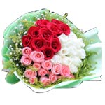 Add spark to your life as well as those who matter......  to baishan_florists.asp